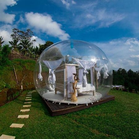 Bubble Hotel Ubud Payangan Exteriér fotografie