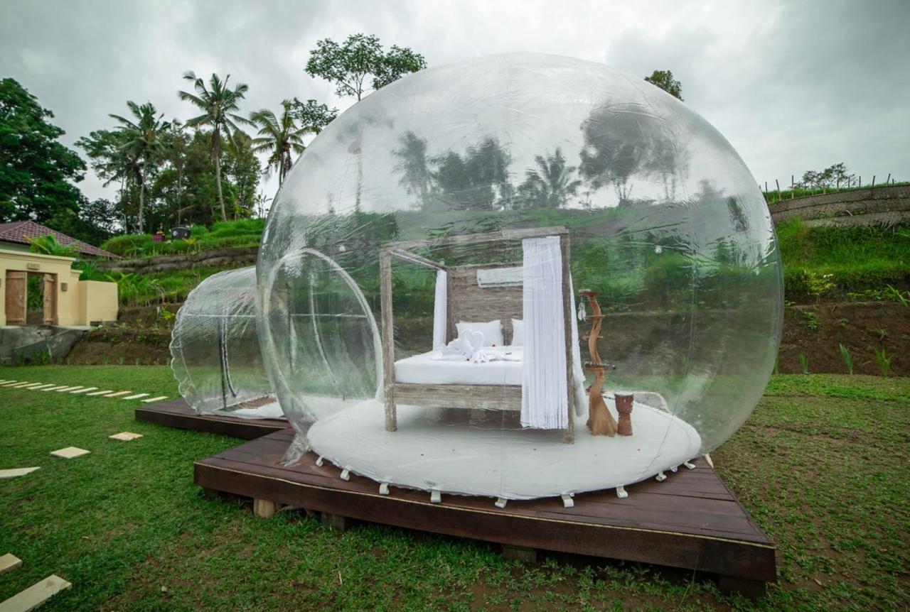 Bubble Hotel Ubud Payangan Exteriér fotografie