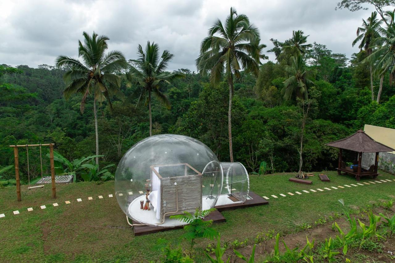 Bubble Hotel Ubud Payangan Exteriér fotografie