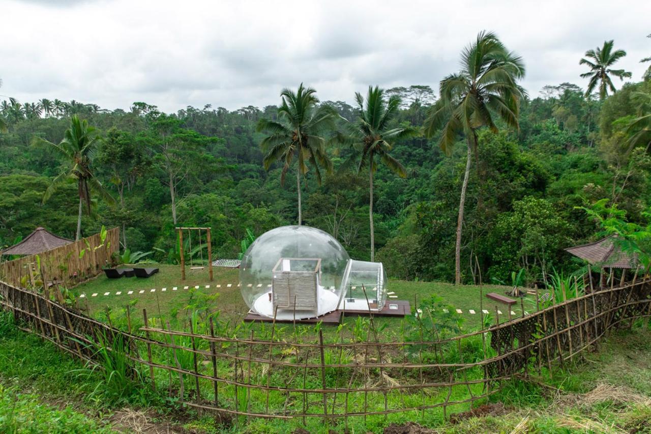 Bubble Hotel Ubud Payangan Exteriér fotografie