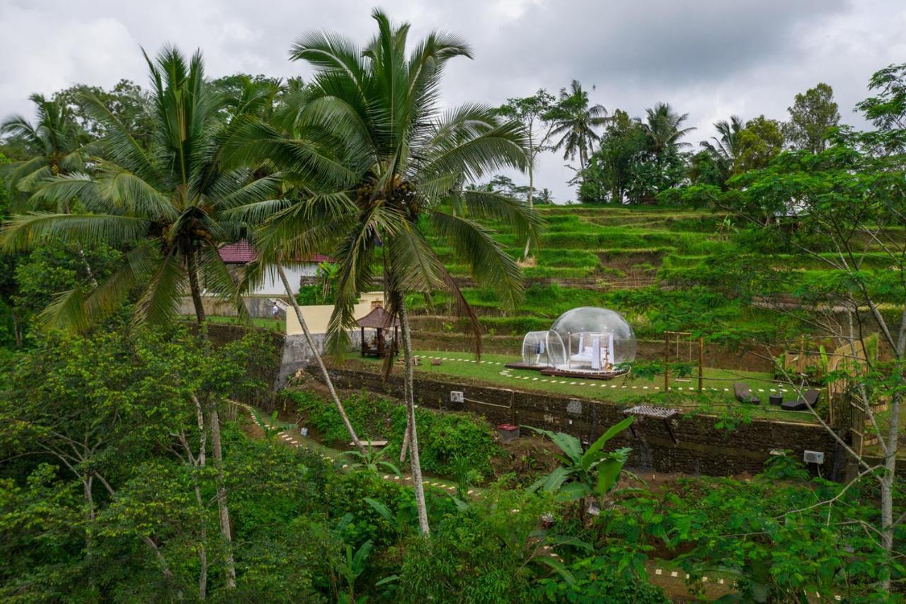 Bubble Hotel Ubud Payangan Exteriér fotografie