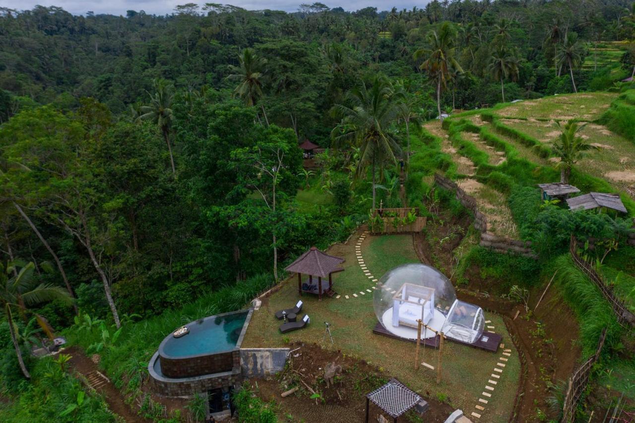 Bubble Hotel Ubud Payangan Exteriér fotografie