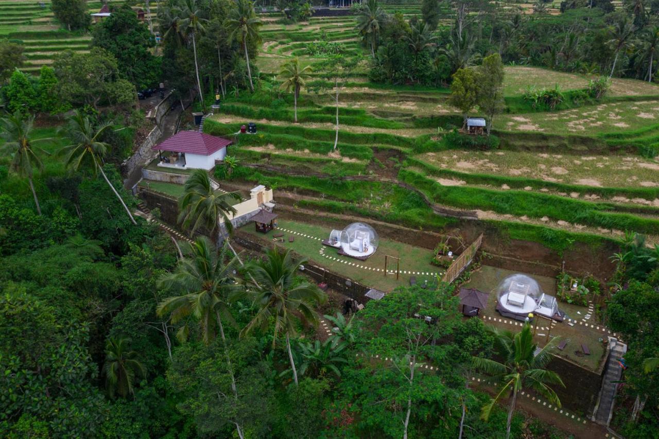 Bubble Hotel Ubud Payangan Exteriér fotografie