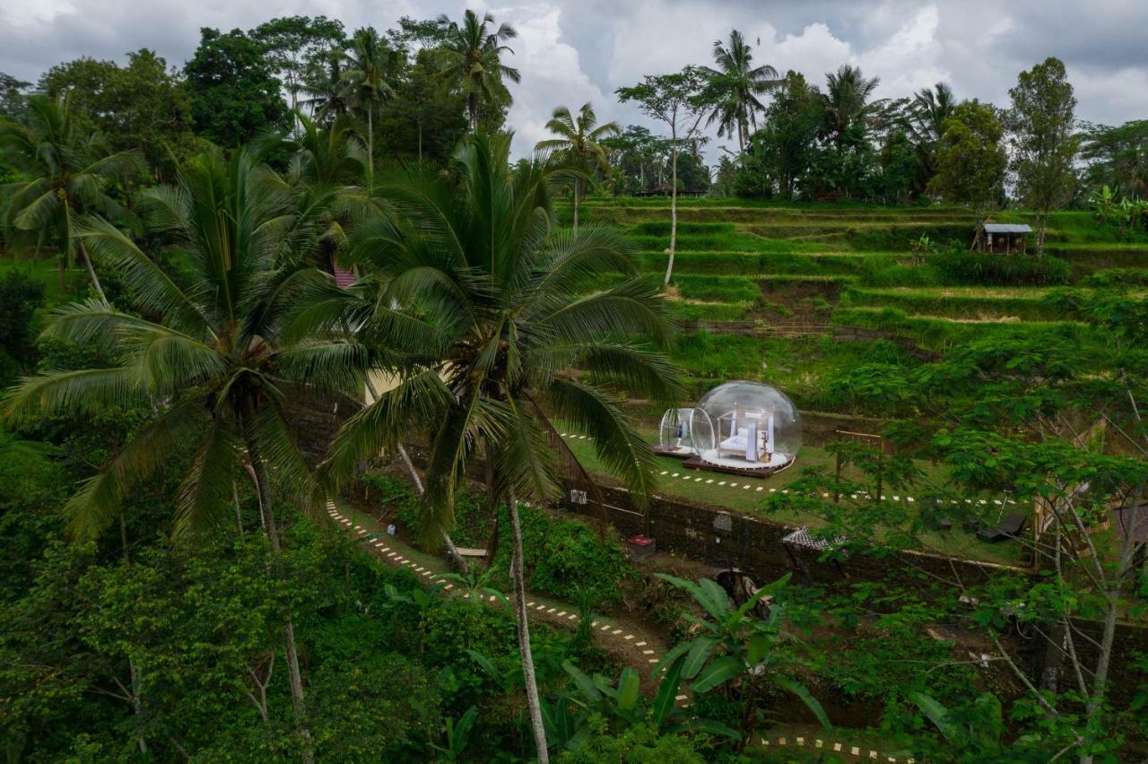 Bubble Hotel Ubud Payangan Exteriér fotografie