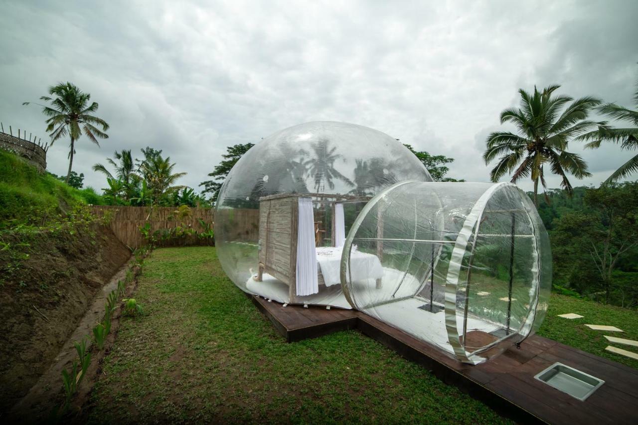 Bubble Hotel Ubud Payangan Exteriér fotografie