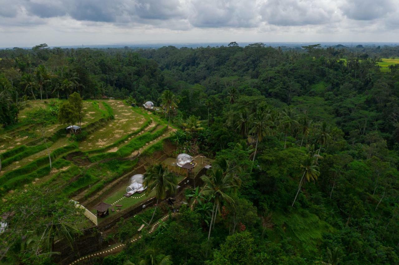 Bubble Hotel Ubud Payangan Exteriér fotografie