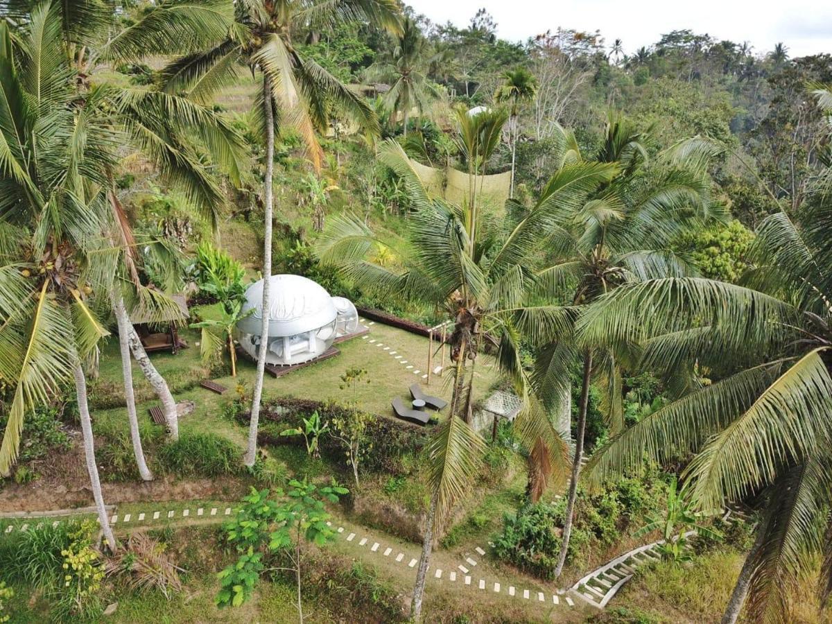 Bubble Hotel Ubud Payangan Exteriér fotografie