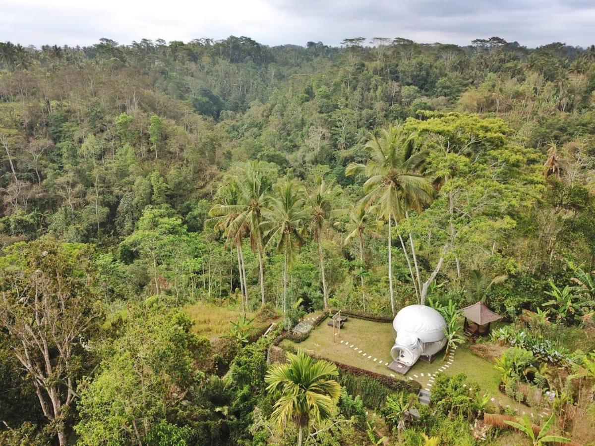 Bubble Hotel Ubud Payangan Exteriér fotografie